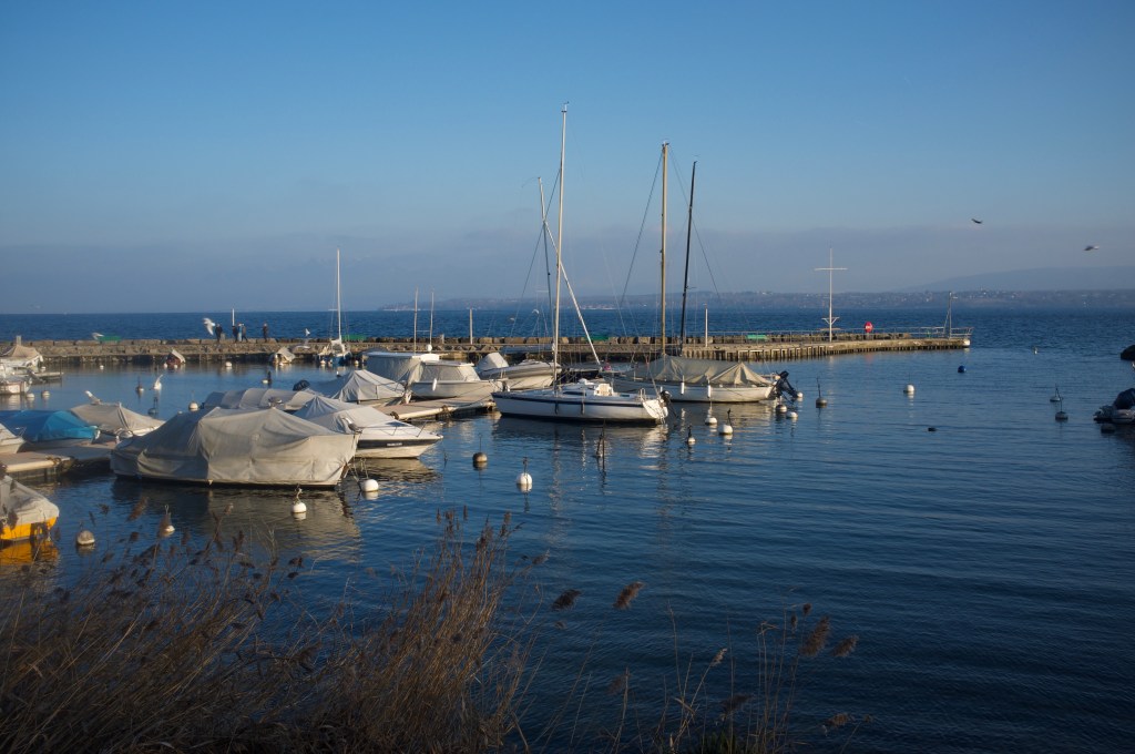 无用32之7:无声之语