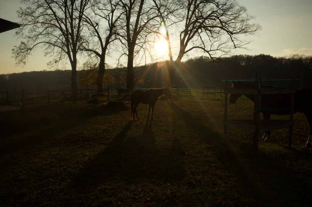 无用32之1:日常的呼吸