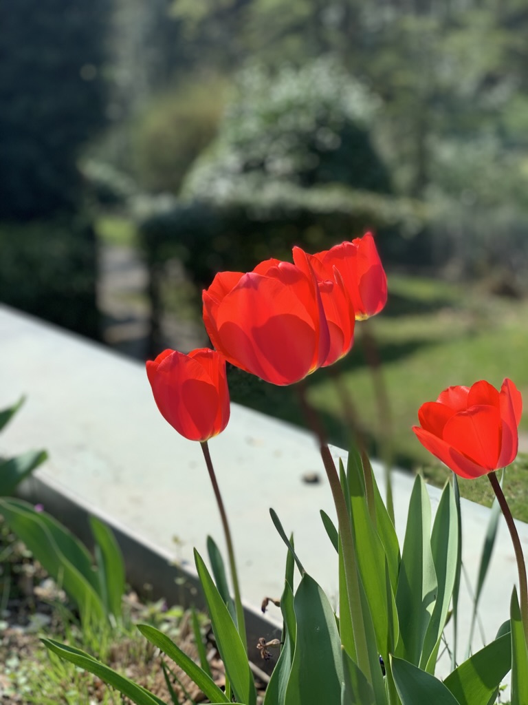 今日春分：两半春色，等分光阴