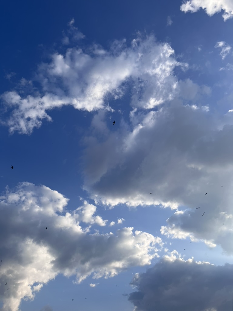 无用32之25 谁是谁？