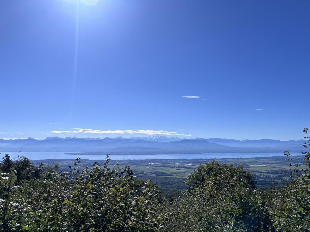 无用32之30 世界观